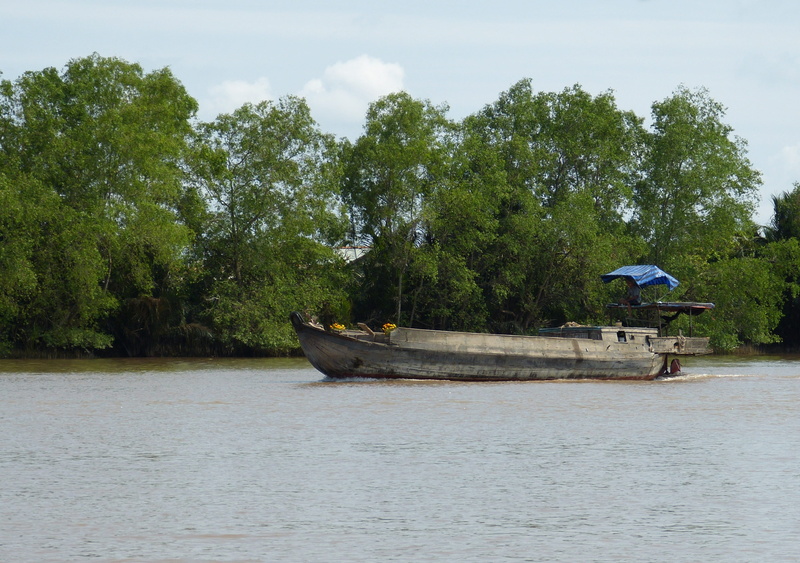 vietnam, sky, waterfront, tree, cloud - sky, transportation, nature, mekong delta, water, day, a, inland waterway transport, transport, shipping, ship