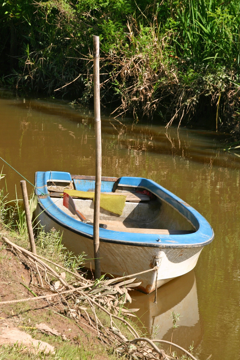 grass, outdoors, delta, day, argentina, tiger, 2K, oar, moored, island, plant, transportation, vegetation, mode of transportation, tranquility, no people