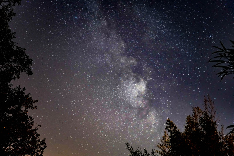 universe, south stoke, way, united kingdom, nature, trees, low angle view, galaxy, beauty in nature, starry sky, milky way, growth, night, plant, space