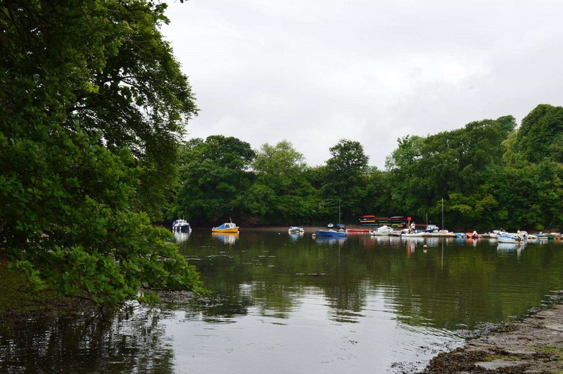 dartmouth, water, stoke gabriel, mode of transportation, 1080P, transportation, tranquility, boats, outdoors, lake, day, tree, calm, plant, no people