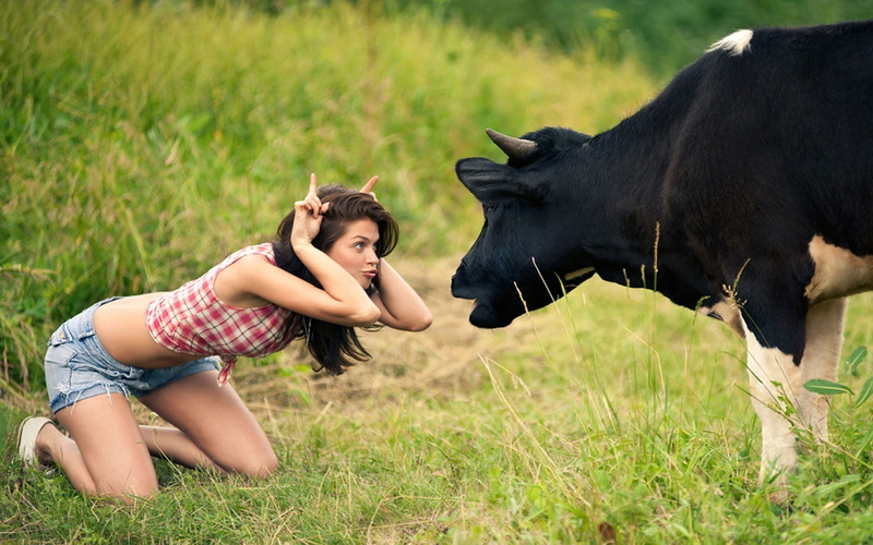 full length, adult, emotion, women jean shorts anime alexey guskov yana anchugova cows fingers plaid, domestic animals, nature, animal wildlife, one person