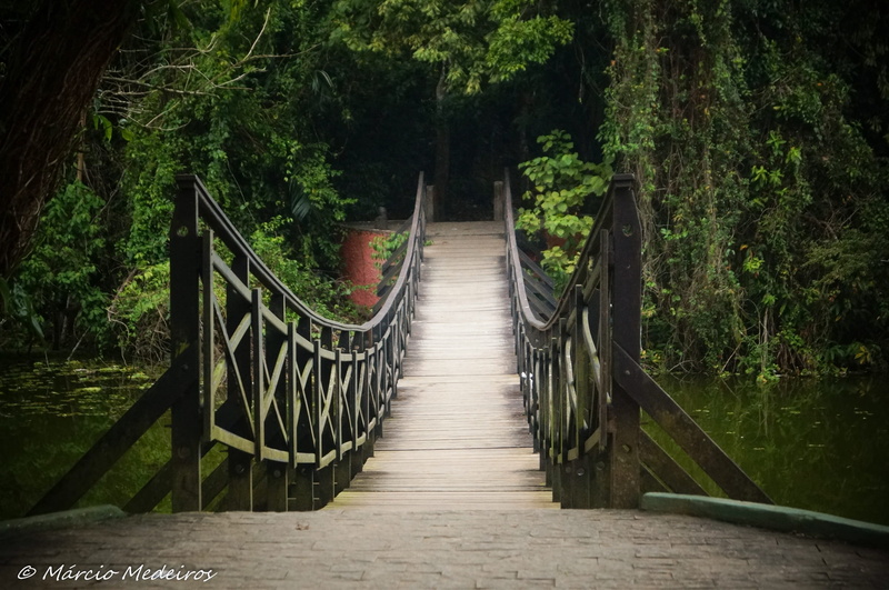 architecture, land, footpath, diminishing perspective, rio, ride, railing, direction, Bridge, nature, 1080P, Santos, lagoa da saudade, wood - material
