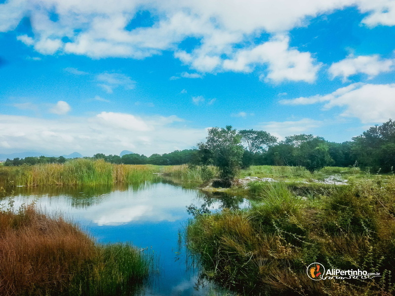 water, outdoors, cloud - sky, scenics - nature, sign, tranquil scene, tranquility, growth, brazil, non-urban scene, espirito santo, lagoa, no people, 2K