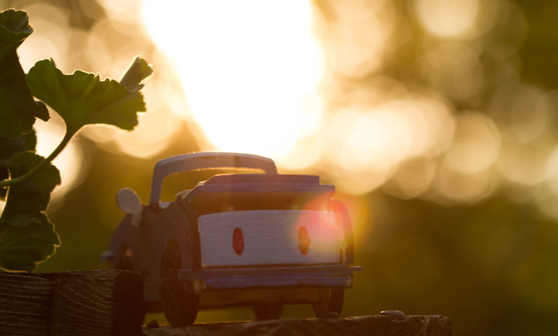 small, toys, nature, freshness, selective focus, advanture, focus on foreground, plant part, sunlight, tree, canada, leaf, basket, back lit, toronto, no people