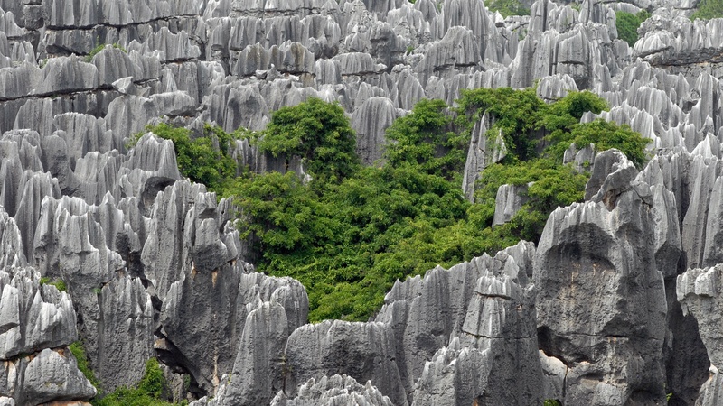 solid, land, aerial, stone forest, rock formation, cliff, green, green color, beauty in nature, travel, architecture, china, plant, travel destinations