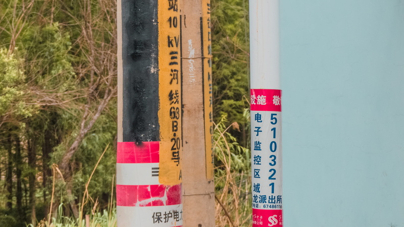 instrument of measurement, trees, wood - material, day, number, spar, tree, plant, communication, forest, composition, growth, pole, architecture, no people