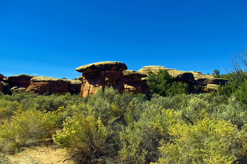 geology, formation, climate, semi-arid, sky, scenic, sandstone, plant, travel, red, blue, nature, sunlight, 2K, outdoors, day, solid, desert, rock formation