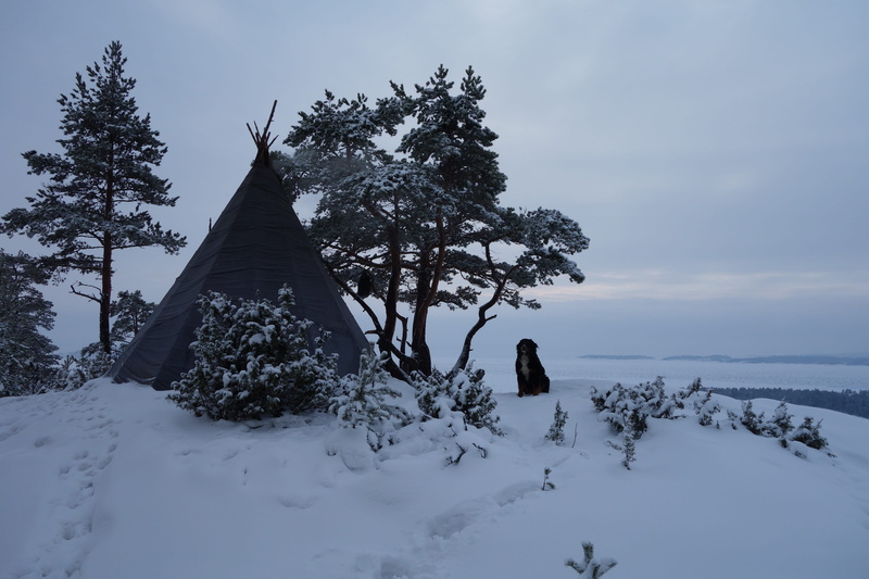 stones, scenics - nature, field, 5K, wigwam, built structure, island, belief, religion, tundra, nature, tourism, tree, ladoga, cold temperature, winter