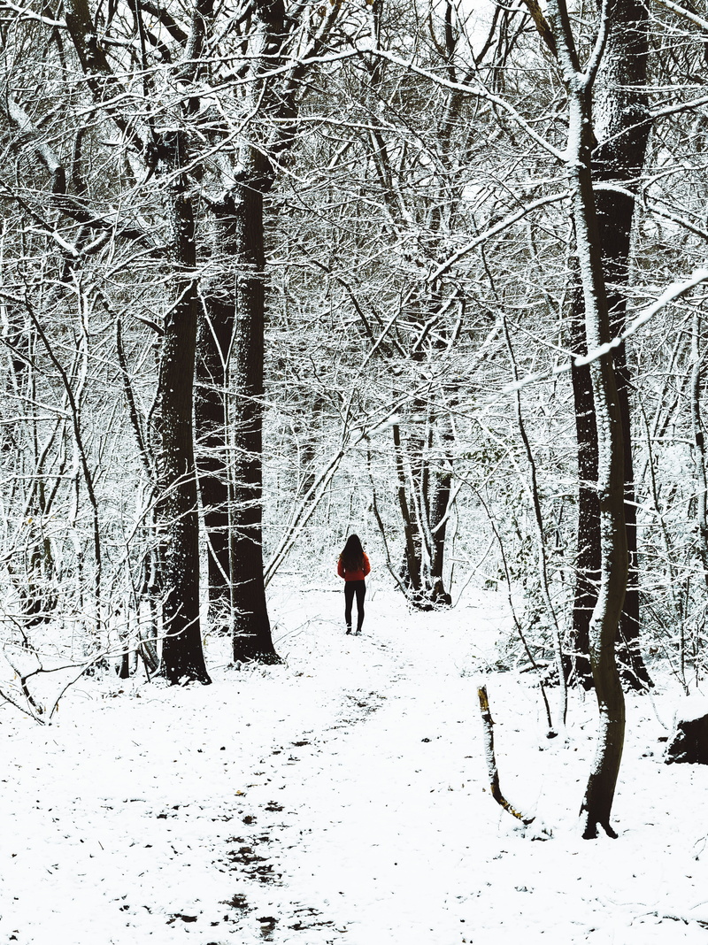 nature, outdoors, white color, tree, branch, photo, model, beauty in nature, snowice, one person, full length, warm clothing, midst, trees, cold temperature