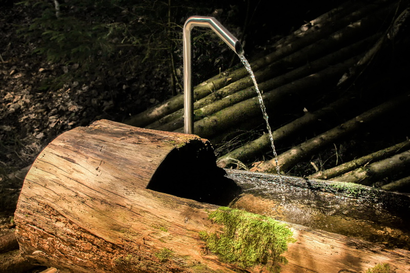 liquid, log, plant, water, wood - material, bark, purity, 5K, tree trunk, wood, flow, forest, livestock watering, fresh, stainless steel, water trough
