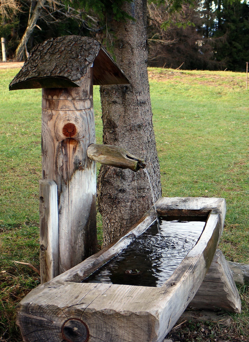 nature, creativity, water, park, art and craft, no people, day, growth, Watering, grass, sculpture, watering hole, representation, Potions, plant, Cow Calf