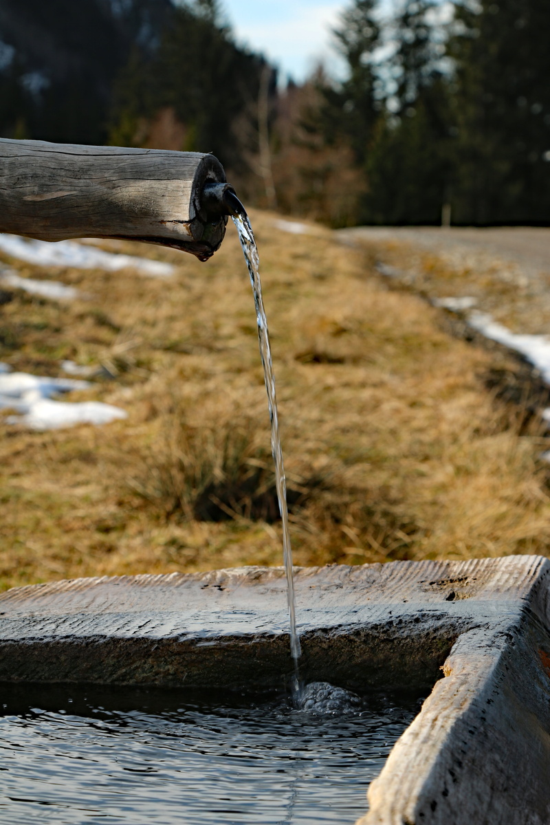 outdoors, well water, wasse, no people, flow, liquid, potions, mountain water, nature, flowing water, close-up, clear, pipe - tube, water, motion, plant
