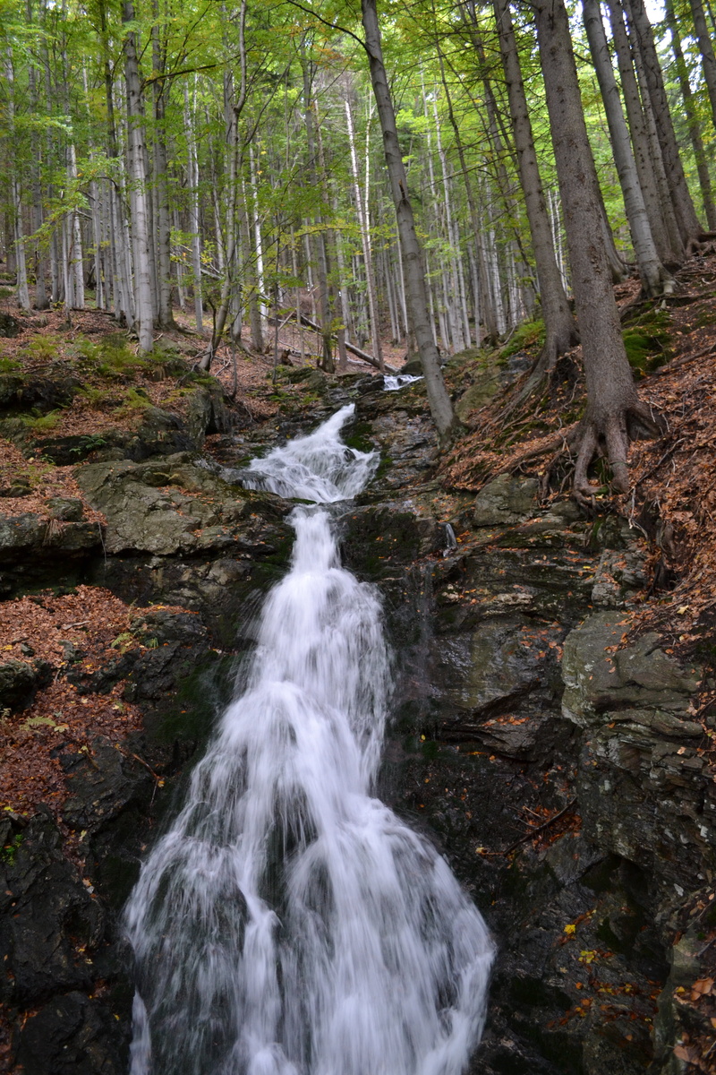 creek bed, plant, rock, nature, long exposure, tranquil scene, trees, stream, tree, solid, forest, no people, blurred motion, 4K, flowing, shadow, rock - object