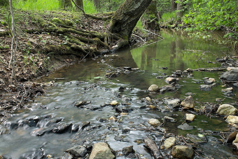flowing water, no people, rock - object, land, surface, 4K, stony, green color, rock, lake, trees, shallow, stream - flowing water, plant, tributary stropnický