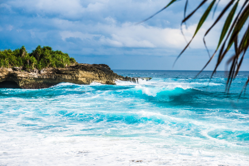 land, palm tree, horizon, wave, island, waves, sea, nature, tranquil scene, surf, cloud, foam, turquoise colored, waterfront, landscape, holiday, water