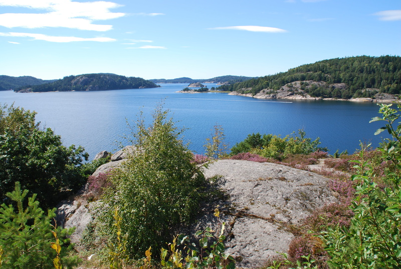 forest, rock - object, idyllic, tranquil Scene, water, beauty In Nature, cloud - sky, tranquility, Trough, scenics, Norway, growth, scenics - nature, day