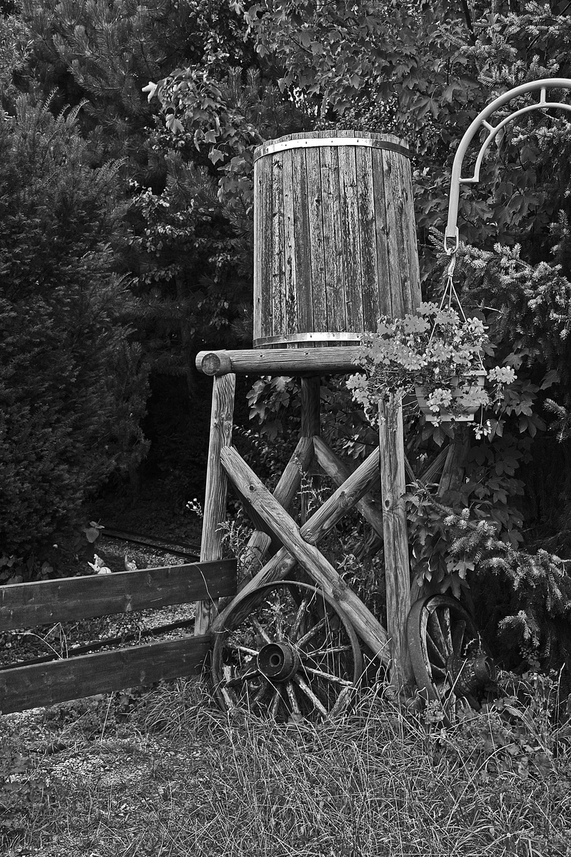 Water Trough, outdoors, land, wood - material, obsolete, day, Potions, plant, grass, tree, Water, water, old-fashioned, 2K, cart, abandoned, run-down