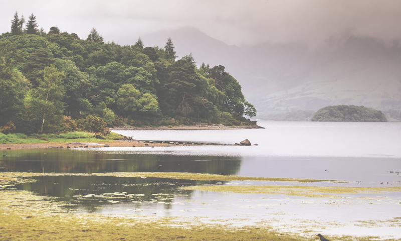 no people, non-urban scene, scenics - nature, keswick, idyllic, beauty in nature, tranquility, nature, united kingdom, waterfront, plant, outdoors, growth
