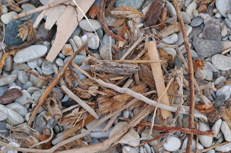 leaves, high angle view, day, twig, no people, plant, wood - material, washed up on, 2K, washed out, pebbles, ocean, backgrounds, large group of objects