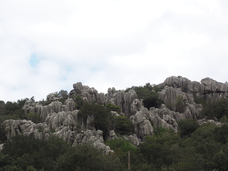 nature, rock, plant, no people, tree, serra de tramuntana, landscape, tranquility, moleta de binifaldó, bold, cloud - sky, environment, outdoors, haunting