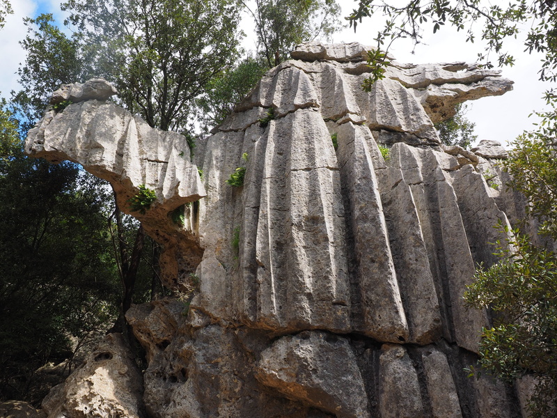 travel destinations, 4K, plant, built structure, religion, architecture, tree, figure, moleta de binifaldó, limestone rock formation, day, low angle view
