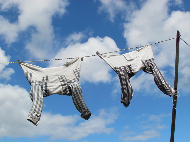 it used to be, drying, clothesline, hanging, was dry, nature, ancient times, bloom, blue sky, sun, washing day, sky, low angle view, white color, shirt