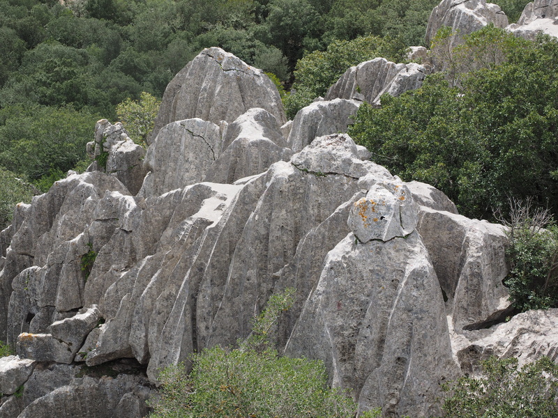 washed out, 4K, no people, haunting, rock formation, rock - object, solid, representation, growth, surrounded, bizarre, rock, limestone rock formations