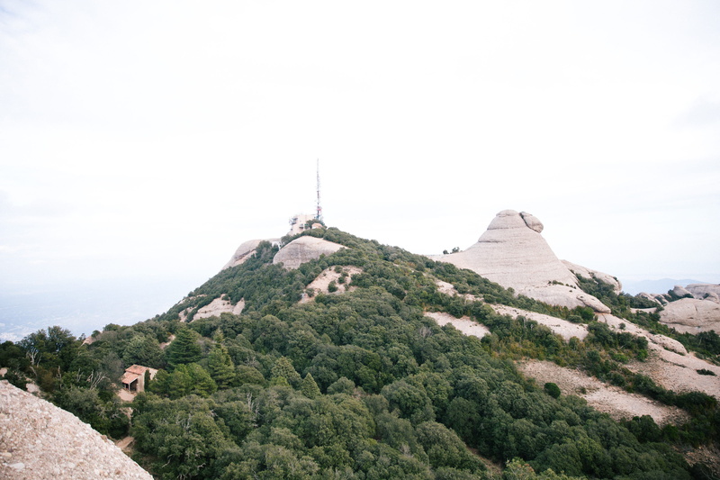 tree, serrated, plant, formations, cliff, montserrat, hiking, monastery, jeroni, tower, no people, sant, destination, travel, range, limestone, beauty in nature