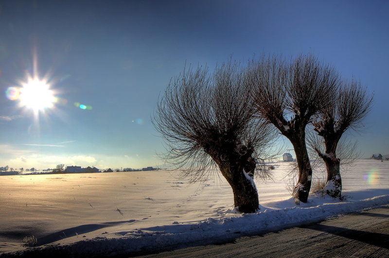 blue, winter, plant, scenics, land, weather, 1080P, three, season, sun, no People, landscape, ice, outdoors, sunset, environment, morning, rods, backgrounds