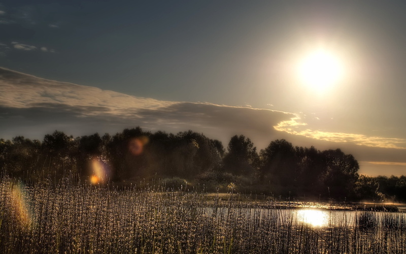 sunlight, sun, outdoors, morning, backgrounds, reflection, beauty In Nature, lake, tranquil Scene, silhouette, patches of light, tranquility, orange Color