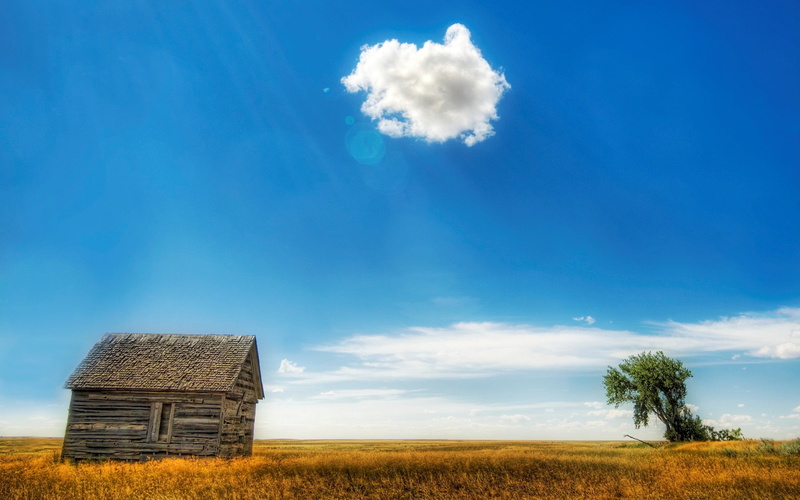 barn, tree, cloud, hut, land, wheat, brown, blue, grass, landscape, cloud - Sky, outdoors, plant, idyllic, rural Scene, prairie, cloudscape, patches of light