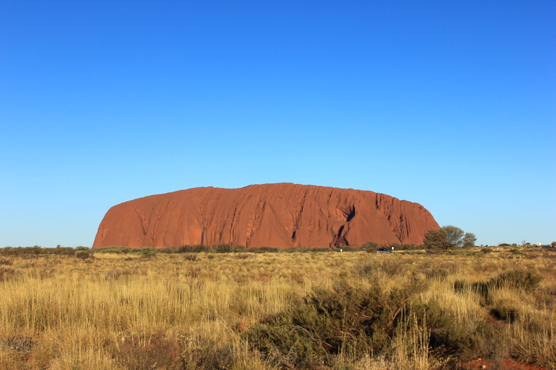 copy space, field, clear sky, plant, Uluru, scenics - nature, Ayers Rock, blue, landscape, environment, day, red, 2K, non-urban scene, land, desert, tranquility