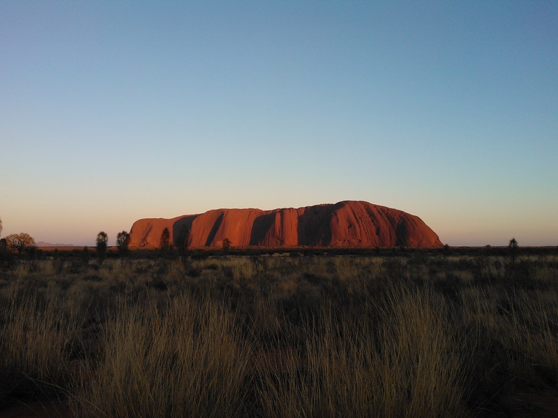 day, australia, scenics - nature, non-urban scene, grass, beauty in nature, field, sunrise, uluru, ayers rock, land, clear sky, tranquility, nature, plant
