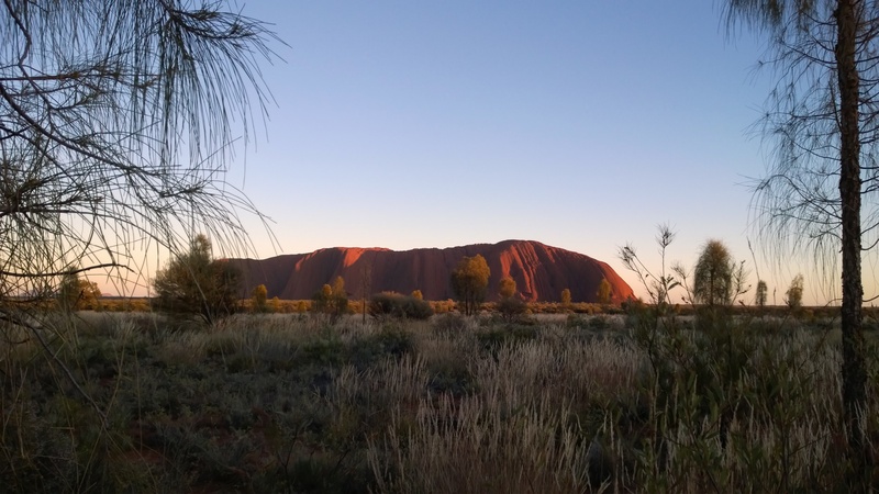 travel destinations, arid climate, ayers rock in winter, bare tree, clear sky, day, sky, tree, no people, pasture, brown, desert, environment, australia