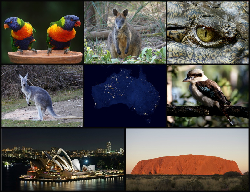 ayers rock, composite image, animal themes, animals in the wild, satellite, two animals, animals in captivity, space view of australia at night, wallaby