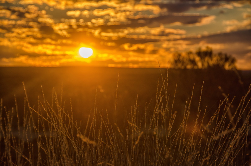 uluru-kata tjuta national park, sunset, outdoors, cloud - sky, tranquility, no people, tranquil scene, sky, landscape, growth, idyllic, environment, australia outback