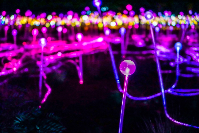 illuminated, technology, led, glowing, pink color, connection, 5K, multi colored, colors, lighting equipment, night, art, focus on foreground, transparent