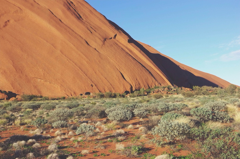 sunny, desert, sky, non-urban scene, red, scenics - nature, blue, day, mountain, physical geography, land, environment, semi-arid, dry, landscape, eroded