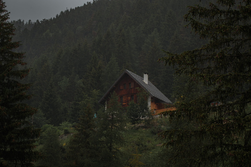 growth, day, non-urban scene, countryside, shelter, nature, cabin, scenics - nature, cottage, green, wooden, plant, no people, tranquility, 5K, surrounded