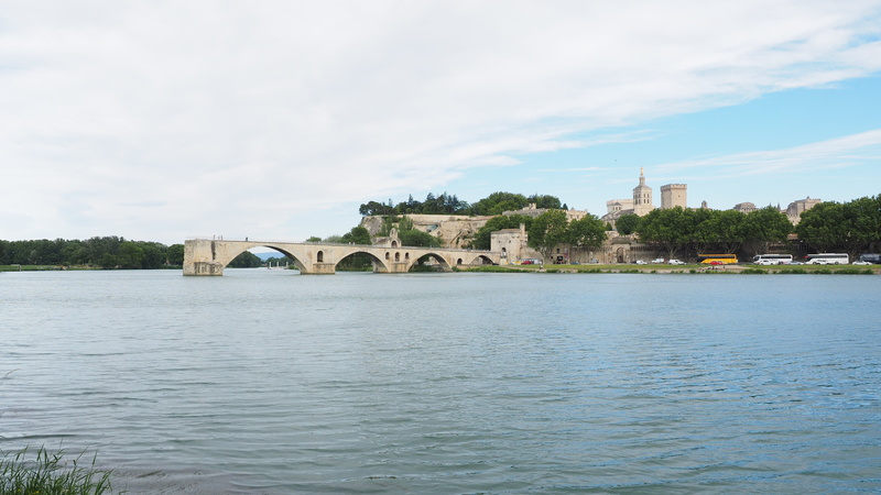building exterior, plant, bridge, built structure, travel destinations, historic preservation, bridge - man made structure, sur le pont davignon, day, arch bridge