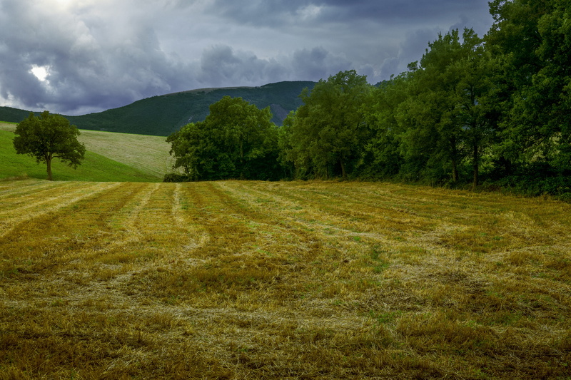 green color, cloud - sky, tranquility, day, appennino, scenics - nature, non-urban scene, grass, no people, green, hill, rolling landscape, tranquil scene