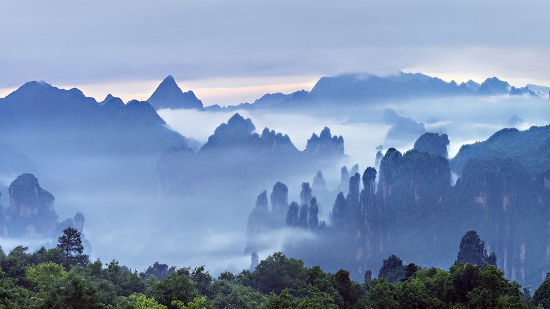 cloud - sky, landscape, travel destinations, pine tree, plant, mountain range, 720P, land, no people, pine woodland, mountain, nature landscape morning mist mountains forest clouds sunrise trees guilin china
