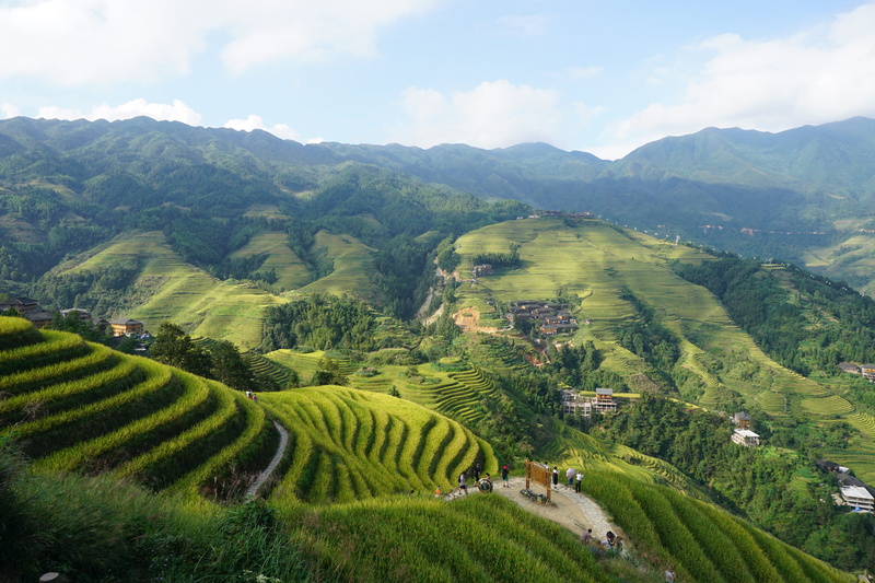 nature, sky, environment, idyllic, green color, landscape, scenics - nature, crop, growth, mountain range, land, rural scene, mountain, terrace, plant