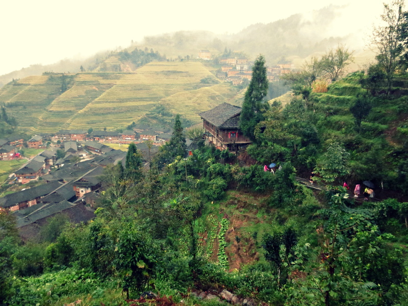 plant, rice terrace, mountain, scenics - nature, high angle view, beauty in nature, 2K, built structure, tree, nature, outdoors, architecture, no people