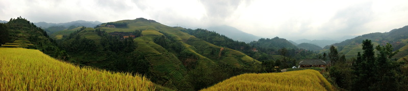 scenics - nature, plant, rice terrace, outdoors, green, mountain range, panoramic, mountains, plantation, china, tranquility, rural scene, tranquil scene