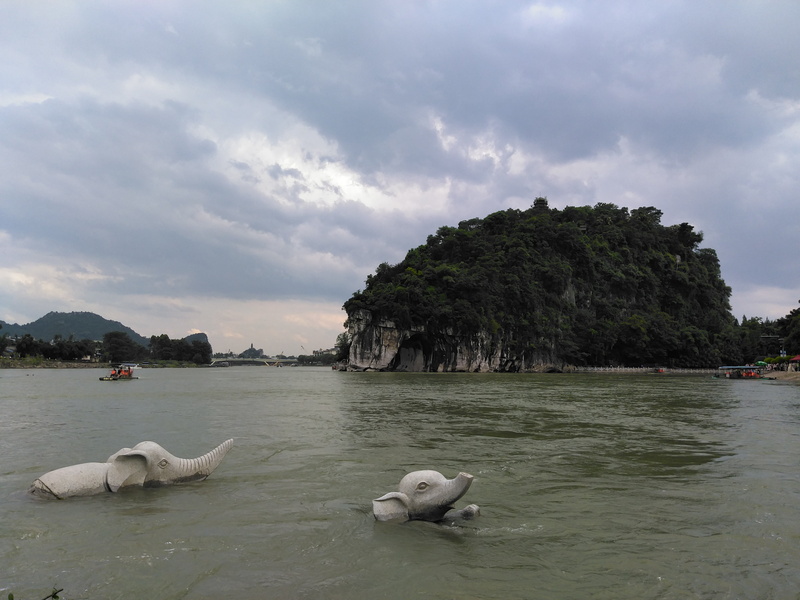 water, swimming, beauty in nature, 4K, day, animal themes, animal, solid, sky, rock - object, nature, mammal, sea, vertebrate, the scenery, animal wildlife