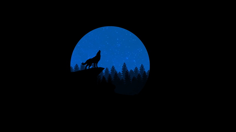art, tranquility, beauty in nature, mountain, nature, landscape, bird, wolf, animal, tranquil scene, dark, star - Space, back Lit, moon Surface, silhouette