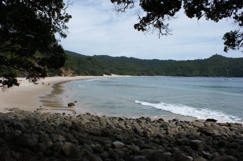 sky, sea, outdoors, flowing water, scenics - nature, nature, idyllic, beach, pebble, land, tranquility, new zealand, 4K, tree, no people, cloud - sky