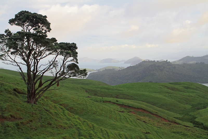 sky, cloud - sky, beauty in nature, plant, new zealand, no people, coromandel, tree, landscape, sea, islands, land, field, panorama, mountain range, grass