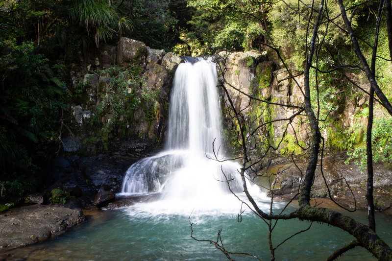 4K, flowing, scenics - nature, beauty in nature, rainforest, nz, waiau falls, growth, waterfall, flowing water, power, new zealand, blurred motion, tree